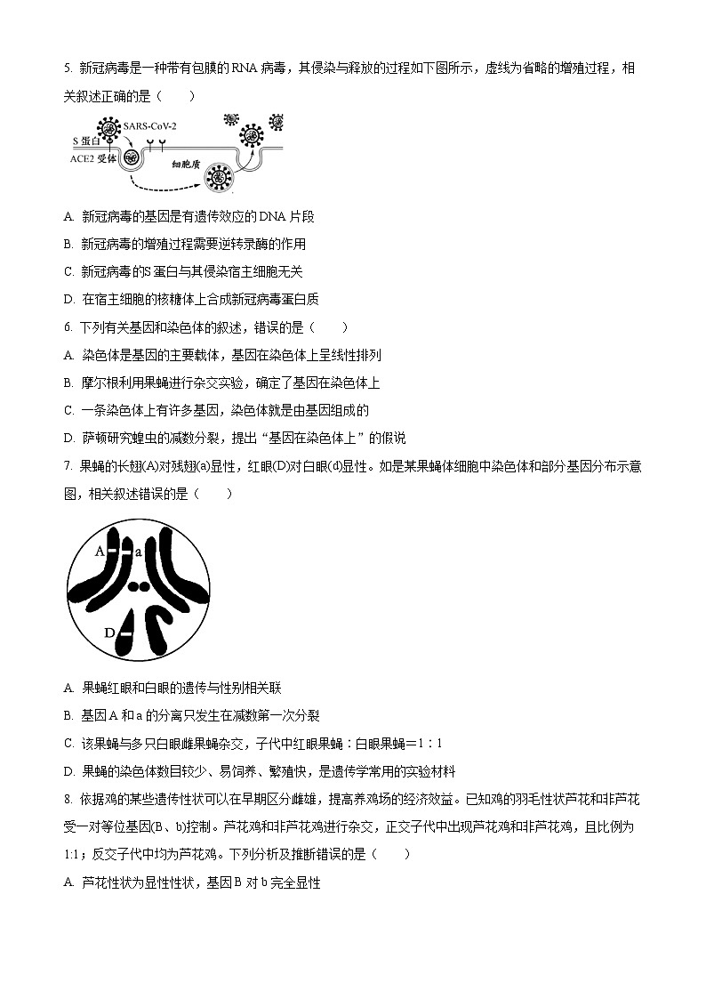 2023江苏省淮宿七校高一下学期期中生物试题含解析02
