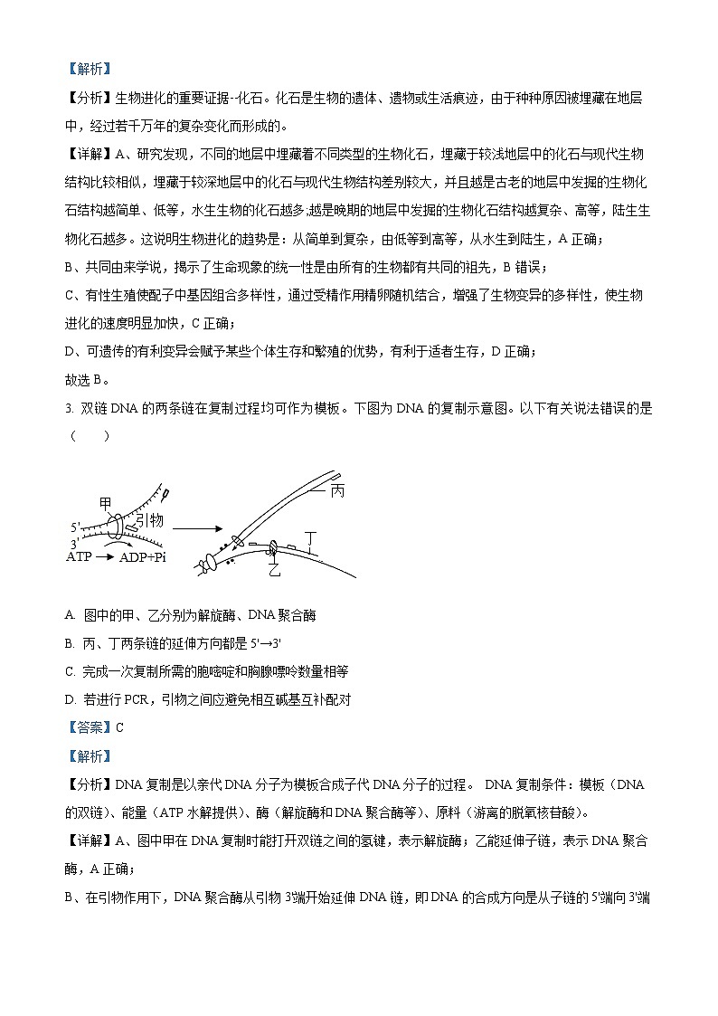 吉林省长春市东北师大附中2023届高三生物模拟预测试题(Word版附解析)02