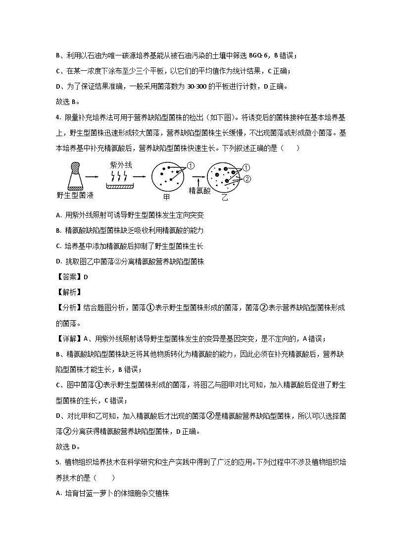 山东省烟台市招远第一中学2022-2023学年高二生物下学期期中考试试题(Word版附解析)03