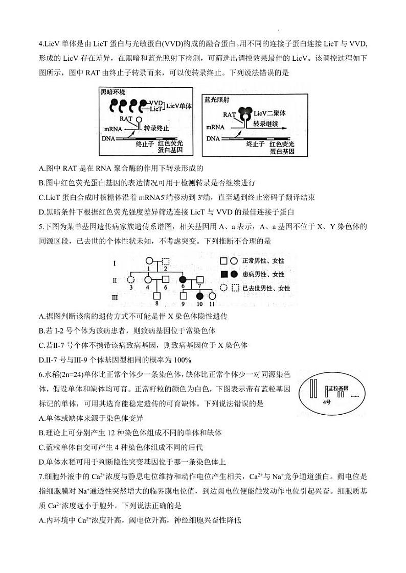 2023届山东省济南市高三下学期针对性训练(三模)生物PDF版含答案02