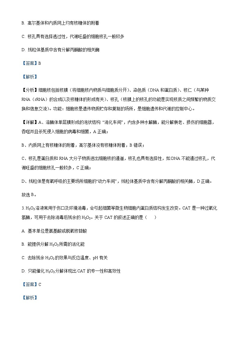 2023届四川省成都市七中高三模拟考试理综生物试题 Word版含解析第2页