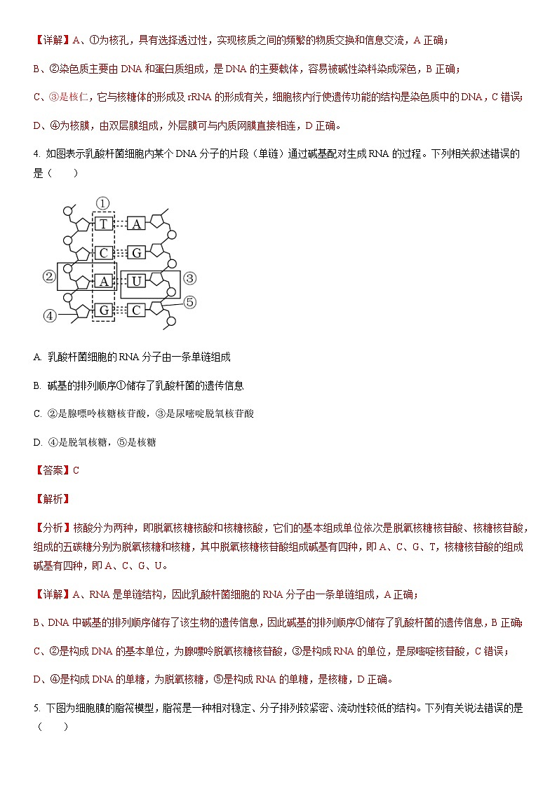2023年山东省夏季普通高中学业水平合格考试生物仿真模拟试卷03含解析第3页