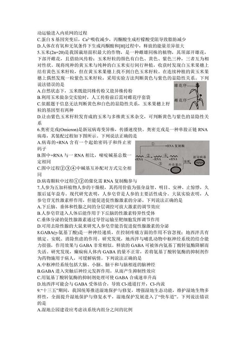 2023年广东省普通高中学业水平选择性考试冲刺卷(二)生物PDF版含答案第2页