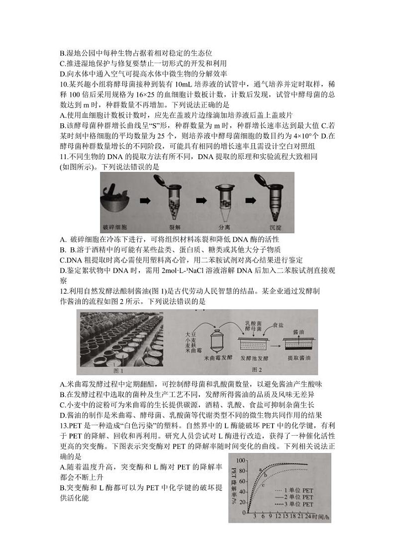 2023年广东省普通高中学业水平选择性考试冲刺卷(二)生物PDF版含答案第3页