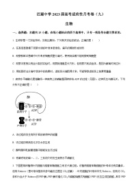 2023届重庆市巴蜀中学高三适应性月考卷（九）生物试题含解析
