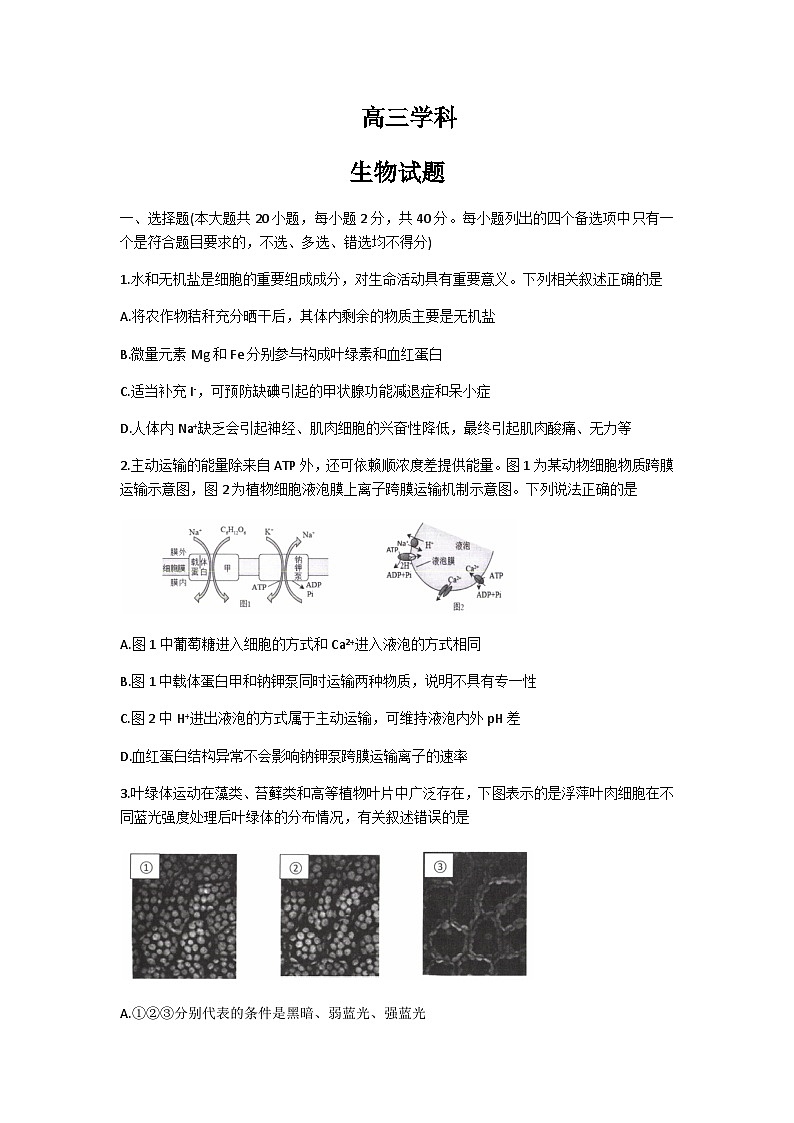 2022-2023学年浙江省余杭高中等北斗星盟高三下学期联考生物试题含答案第1页