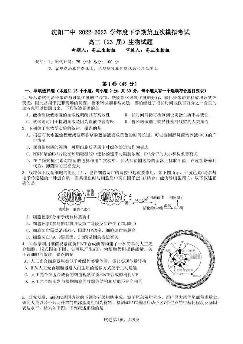 2023届辽宁省沈阳市第二中学高三下学期第五次模拟考试生物试题01