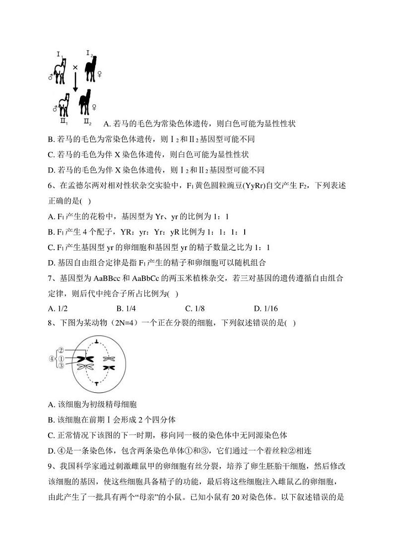 大荔县大荔中学2021-2022学年高一下学期期末质量检测生物试卷(含答案)第2页