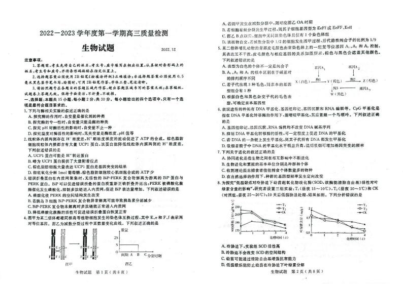 山东省济宁市2023届高三上学期期末生物试卷+答案01