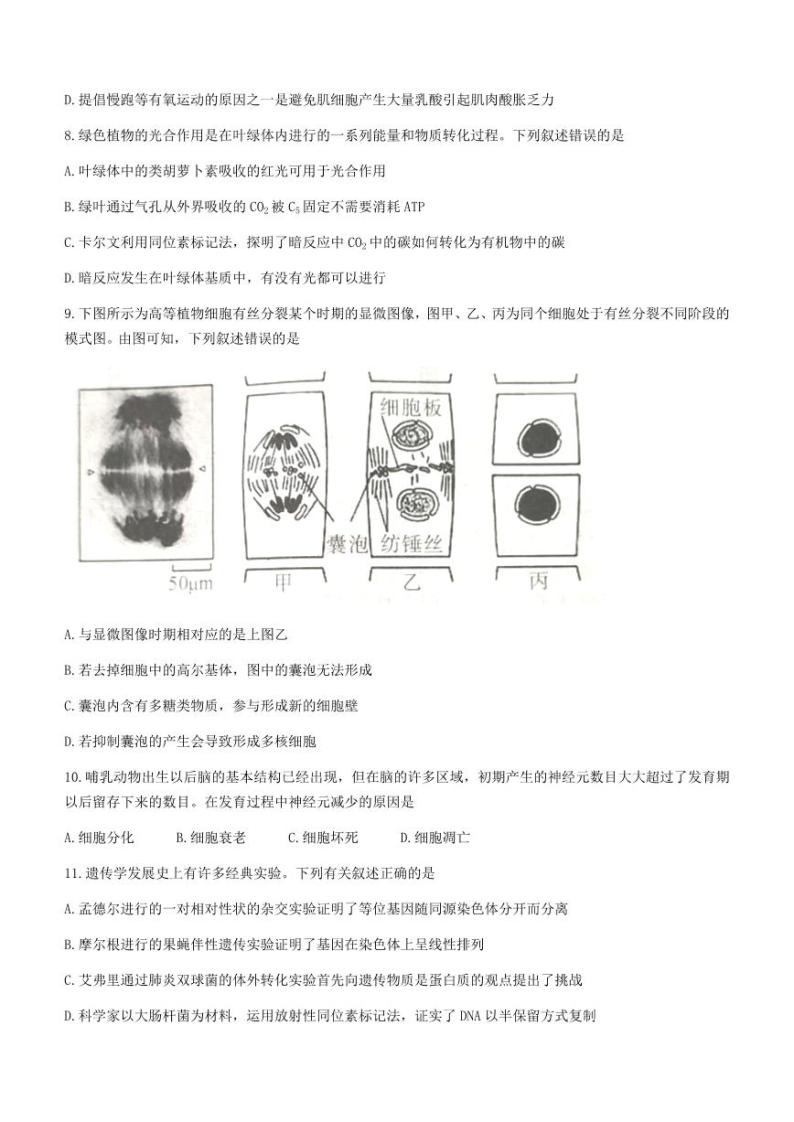 江西省吉安市2022-2023高三上学期期末生物试卷+答案03
