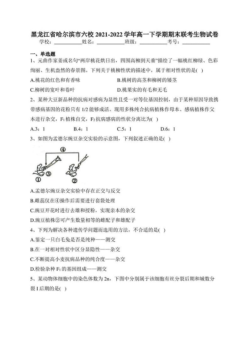 黑龙江省哈尔滨市六校2021-2022学年高一下学期期末联考生物试卷(含答案)01