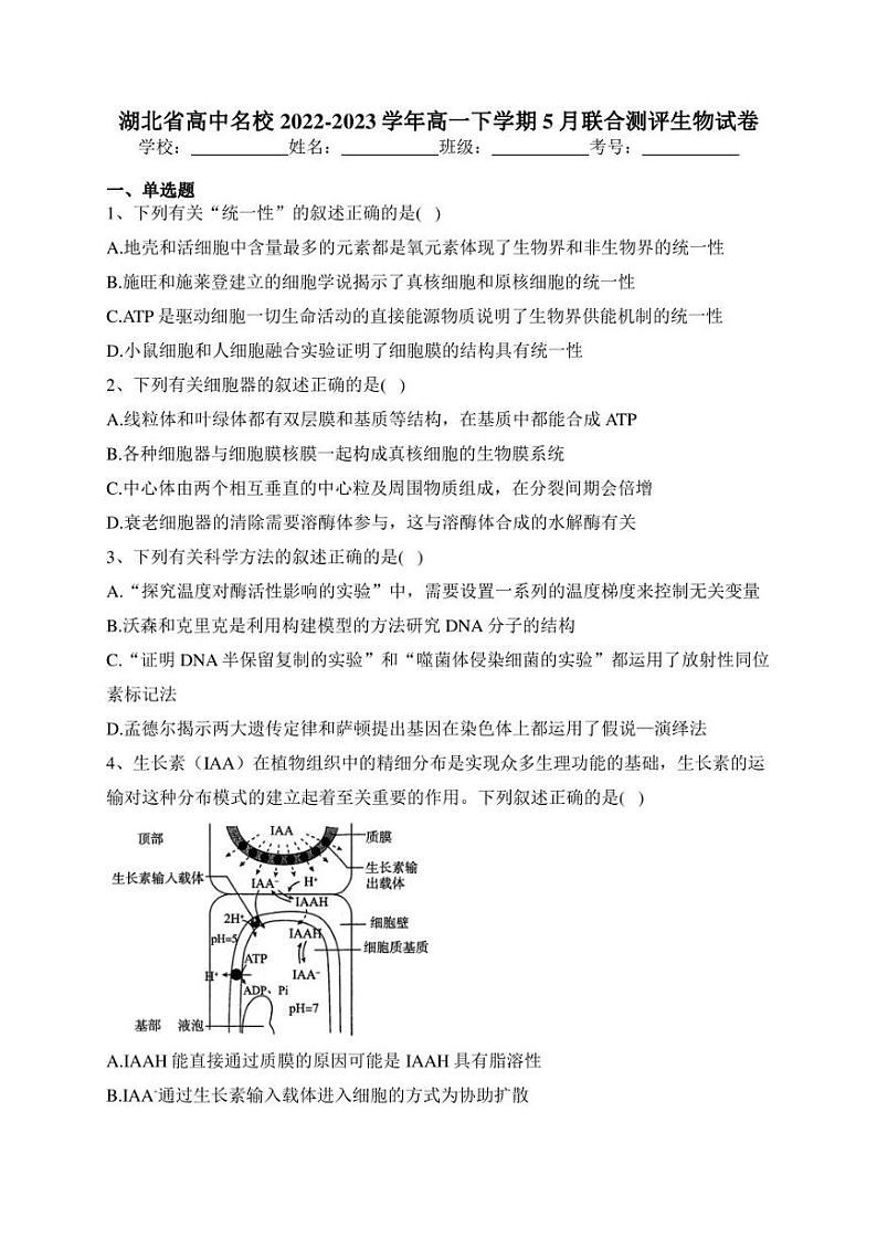 湖北省高中名校2022-2023学年高一下学期5月联合测评生物试卷(含答案)01