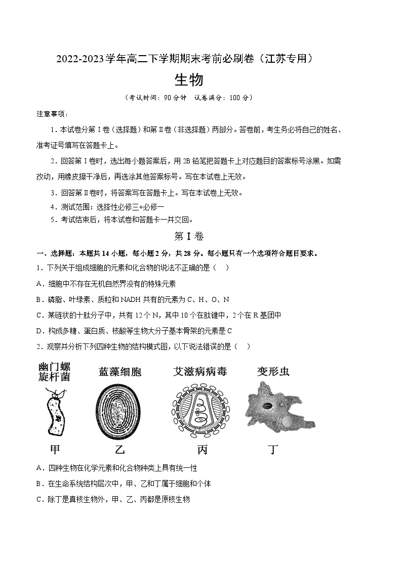 2022-2023学年高二下学期期末考前必刷卷：生物01卷（江苏专用）（考试版）（范围：选择性必修3+必修1）01