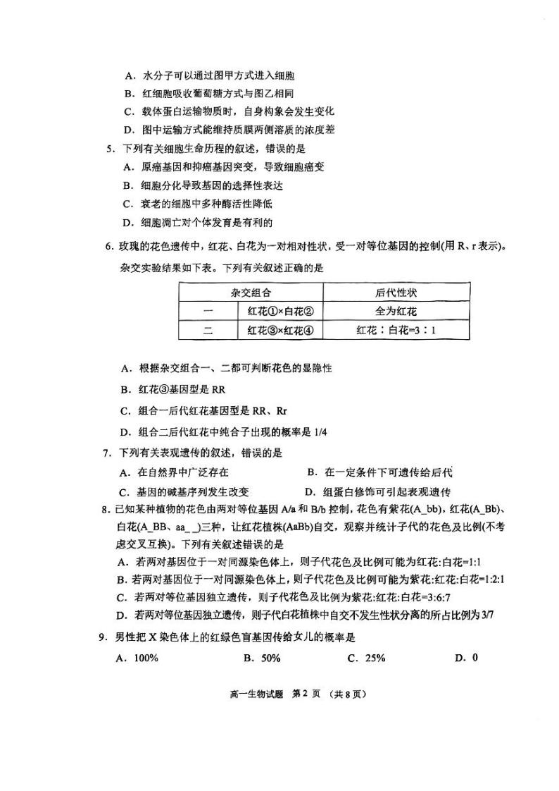 江苏省盐城市2022-2023学年度第二学期高一年级期终考试生物试题(PDF版含答案)02