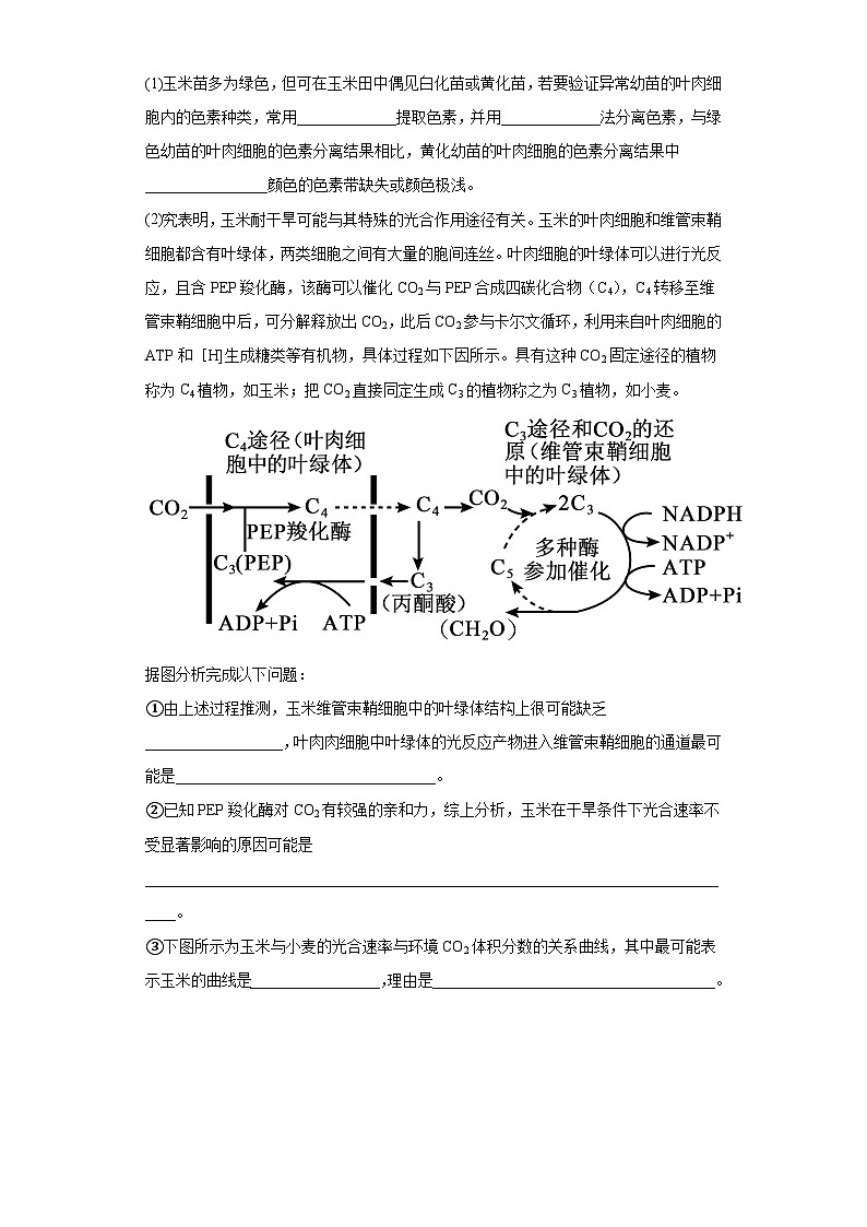 2022届湘豫名校高三4月联考理综生物试题(含解析)03