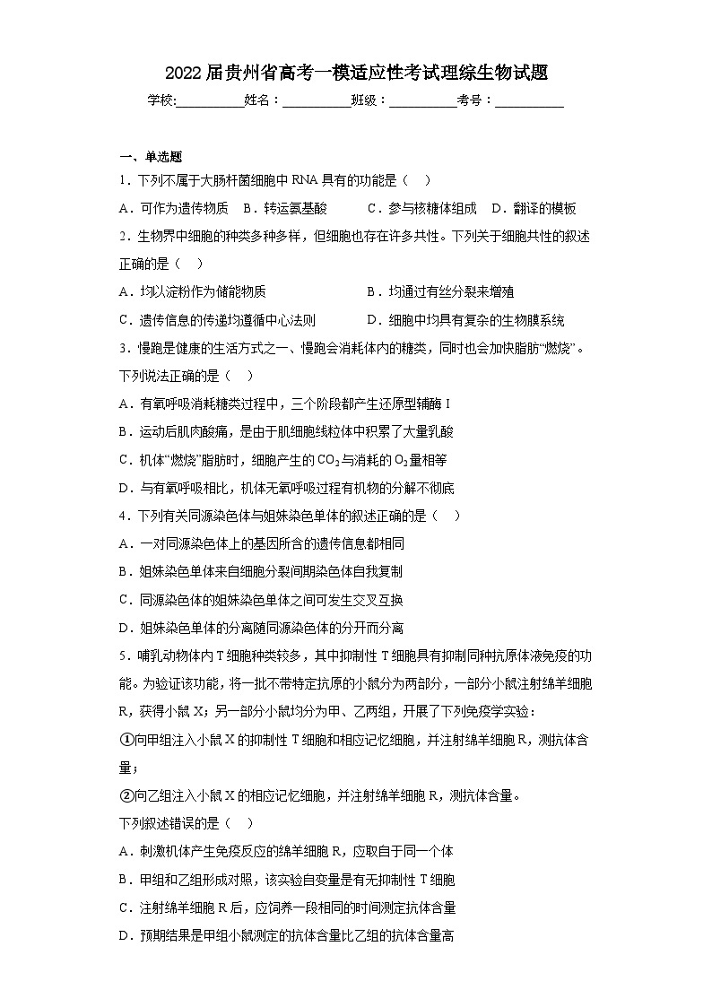 2022届贵州省高考一模适应性考试理综生物试题（含解析）01