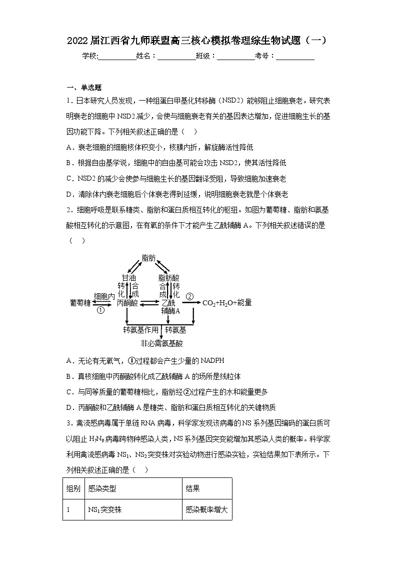 2022届江西省九师联盟高三核心模拟卷理综生物试题（一）（含解析）01