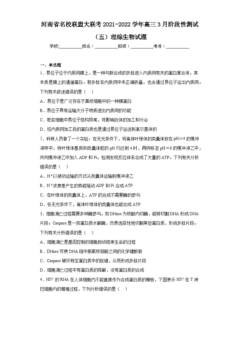 河南省名校联盟大联考2021-2022学年高三3月阶段性测试（五）理综生物试题（含解析）01