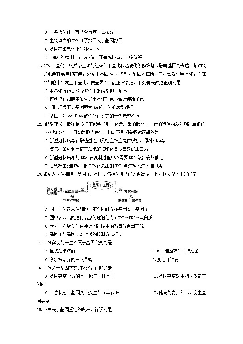 2023洛阳强基联盟高一下学期5月联考生物试题含解析第3页