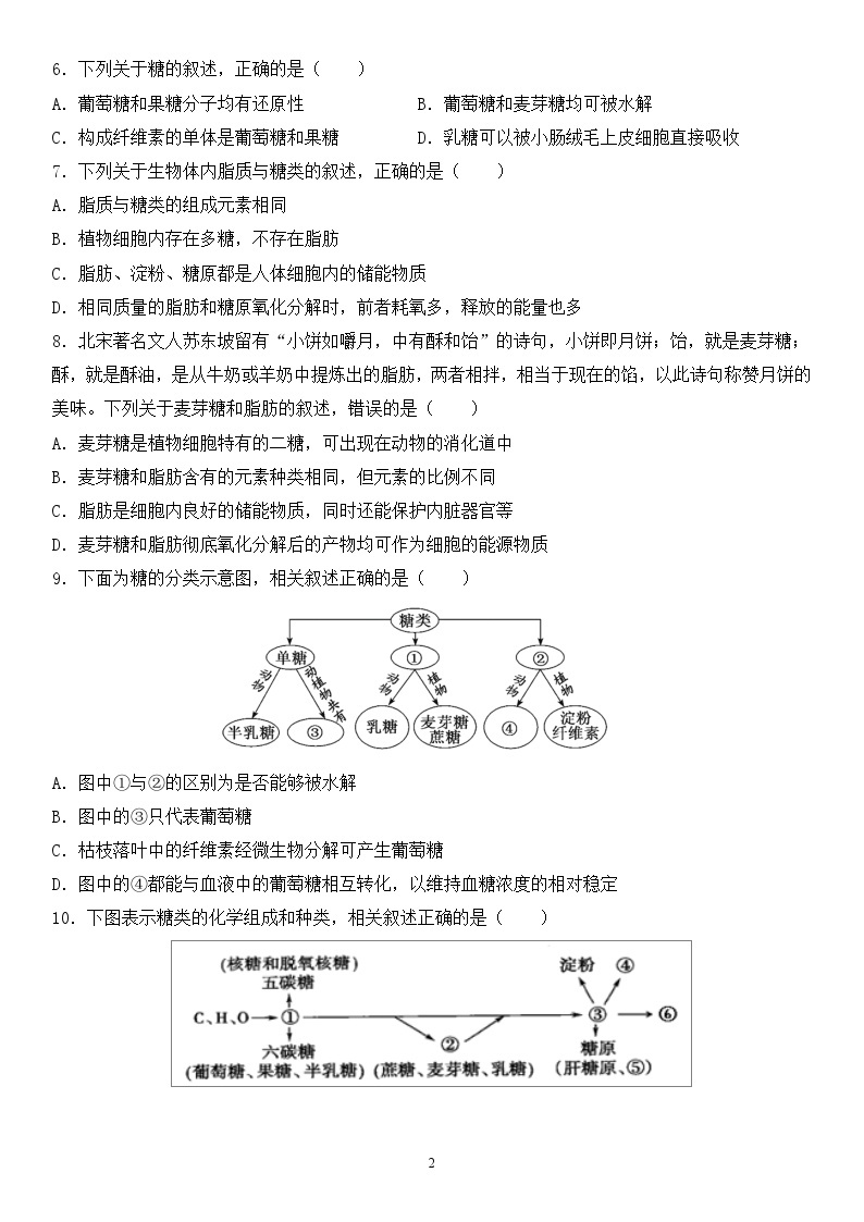 人教版2019必修一生物学2.3《细胞中的糖类和脂质》课件+同步分层练习02