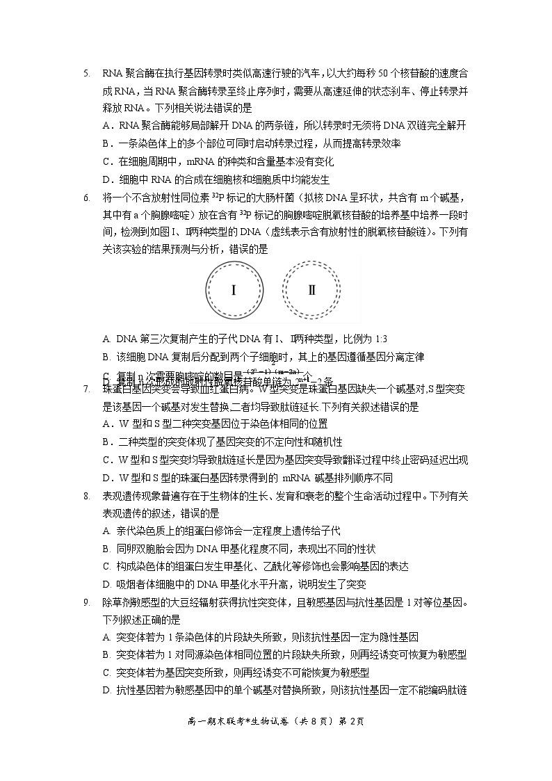 湖北省武汉市部分学校联合体2022-2023学年高一下学期期末联考生物试题03