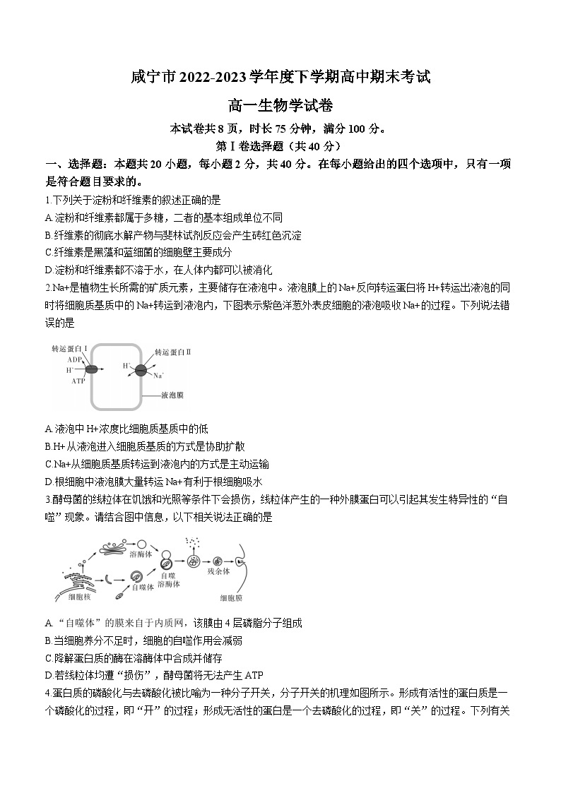 湖北省咸宁市2022-2023学年高一下学期期末生物试题01