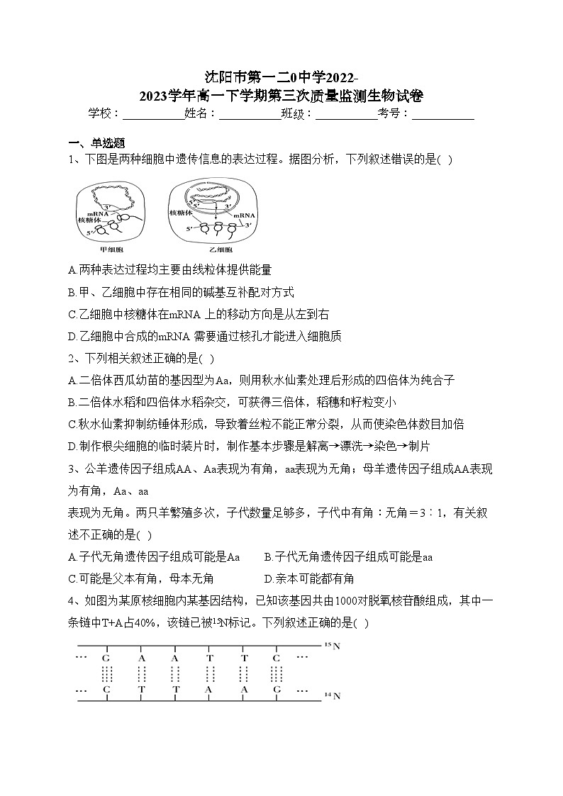 沈阳市第一二0中学2022-2023学年高一下学期第三次质量监测生物试卷(含答案)第1页
