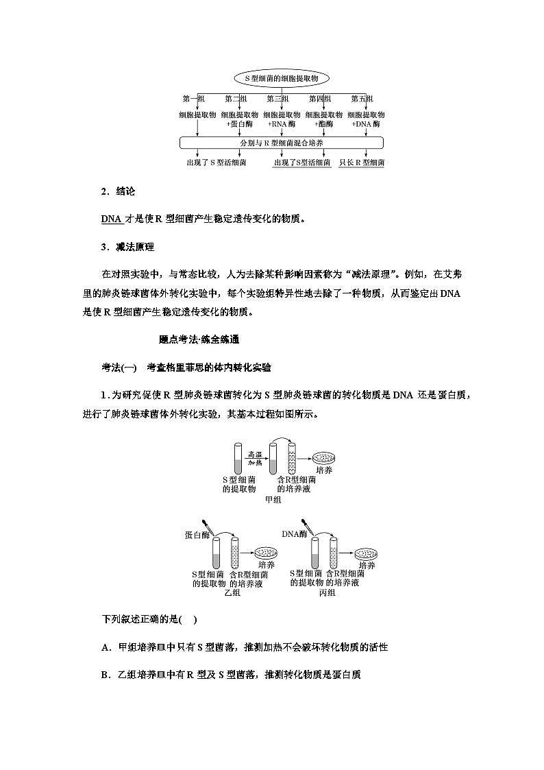 2024届人教版高考生物一轮复习DNA是主要的遗传物质学案第3页