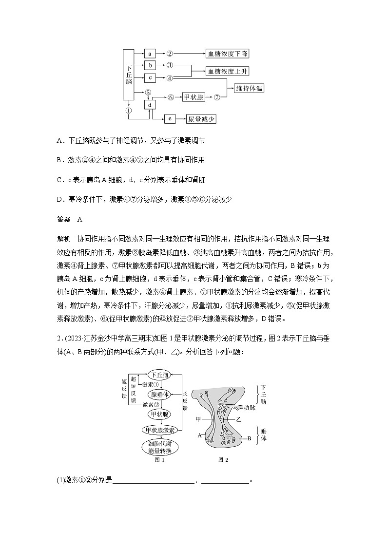 2024屆蘇教版高考生物一輪復(fù)習(xí)微專題八動(dòng)物生命活動(dòng)調(diào)節(jié)模型的構(gòu)建學(xué)案第2頁(yè)
