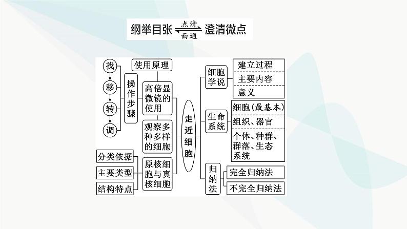 人教版2024届高考生物一轮复习走近细胞课件第3页