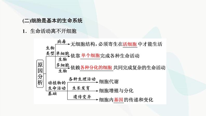 人教版2024届高考生物一轮复习走近细胞课件第7页