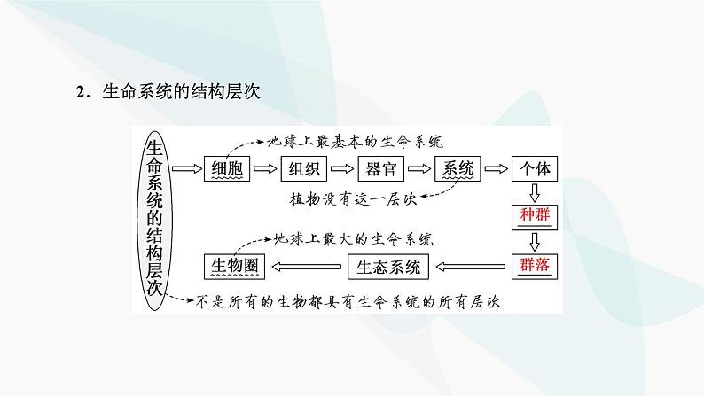 人教版2024届高考生物一轮复习走近细胞课件第8页