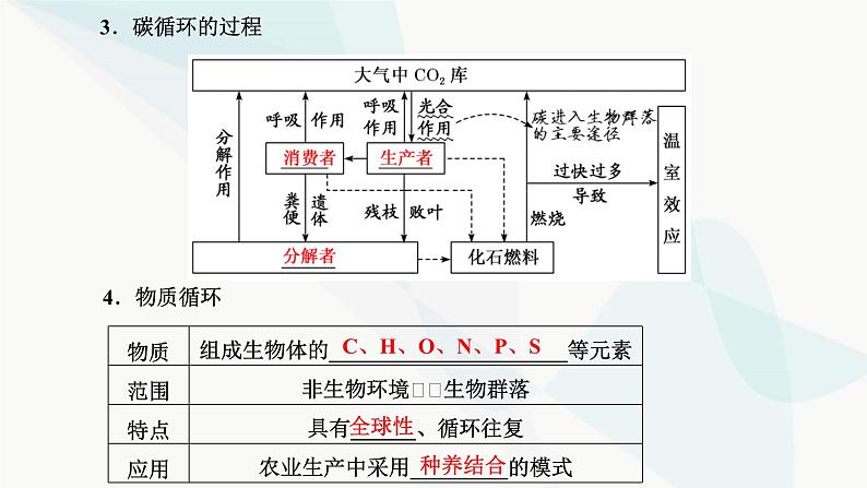 人教版2024届高考生物一轮复习生态系统的物质循环、信息传递和稳定性课件第7页