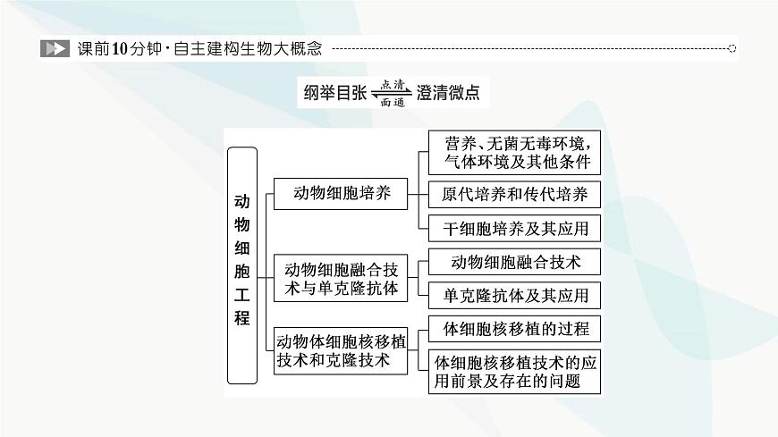 人教版2024屆高考生物一輪復習動物細胞工程課件第2頁