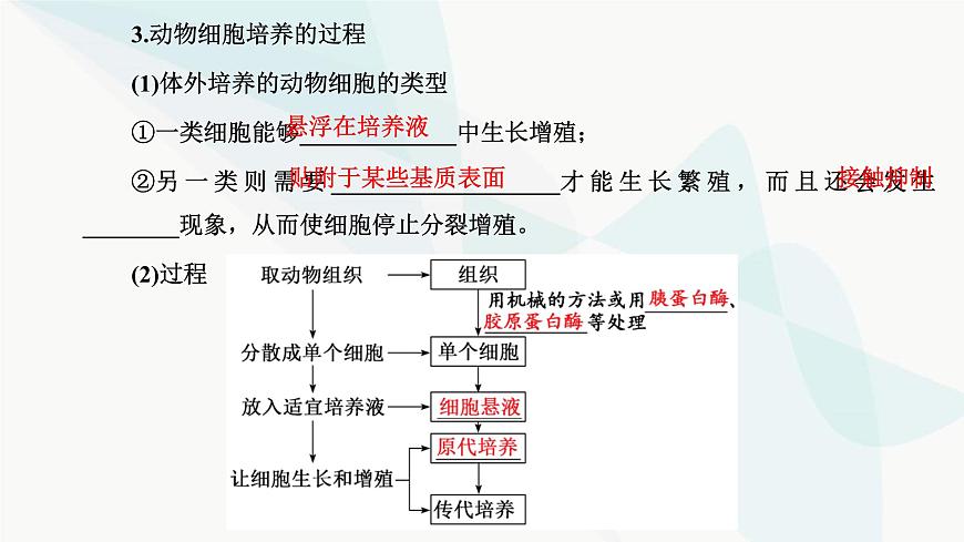 人教版2024屆高考生物一輪復習動物細胞工程課件第6頁