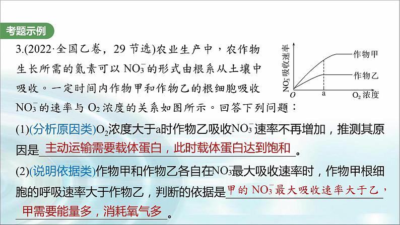 苏教版2024届高考生物一轮复习(二)细胞代谢中的原因分析课件03