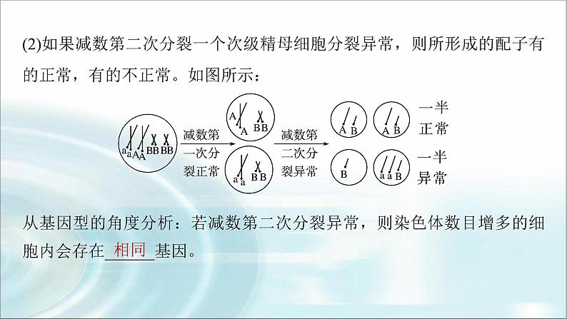 苏教版2024届高考生物一轮复习微专题三减数分裂与可遗传变异的关系课件第7页