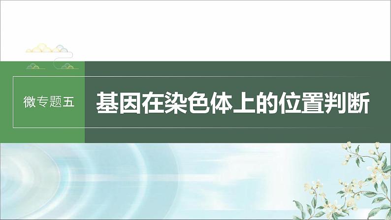 苏教版2024届高考生物一轮复习微专题五基因在染色体上的位置判断课件第1页