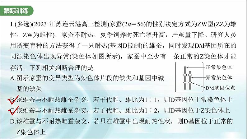 苏教版2024届高考生物一轮复习微专题五基因在染色体上的位置判断课件第3页