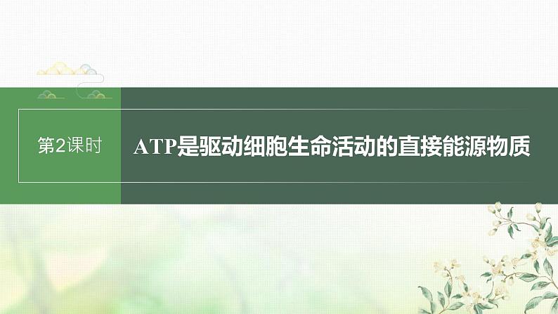 苏教版2024届高考生物一轮复习ATP是驱动细胞生命活动的直接能源物质课件01