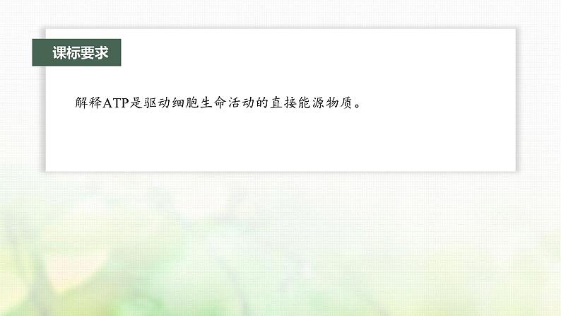 苏教版2024届高考生物一轮复习ATP是驱动细胞生命活动的直接能源物质课件02