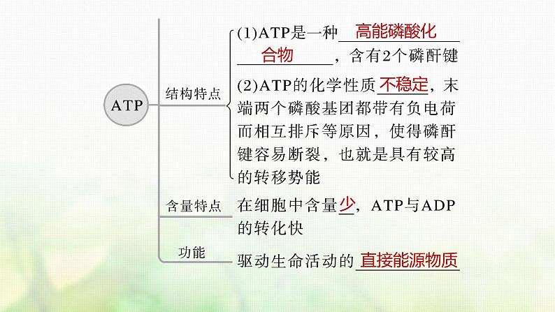苏教版2024届高考生物一轮复习ATP是驱动细胞生命活动的直接能源物质课件05