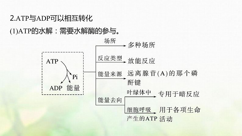 苏教版2024届高考生物一轮复习ATP是驱动细胞生命活动的直接能源物质课件07