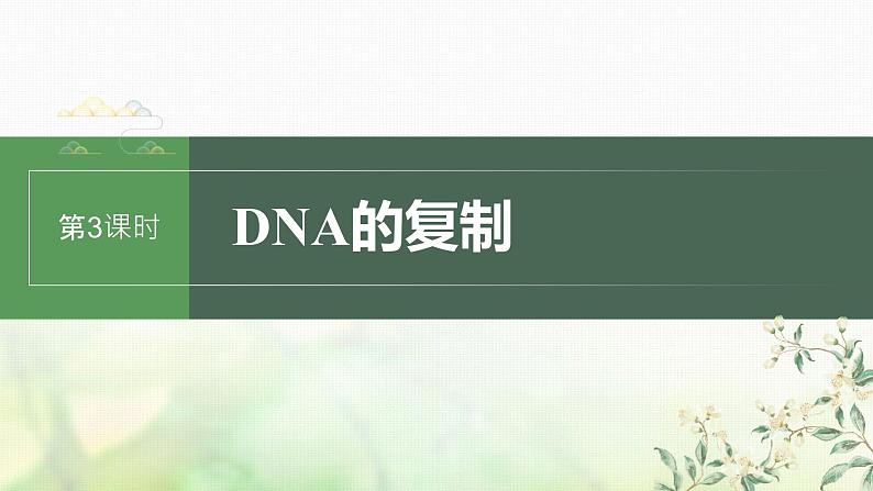 苏教版2024届高考生物一轮复习DNA的复制课件第1页