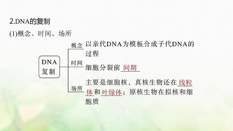 苏教版2024届高考生物一轮复习DNA的复制课件第6页