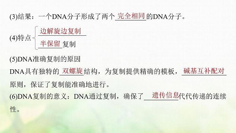 苏教版2024届高考生物一轮复习DNA的复制课件第8页