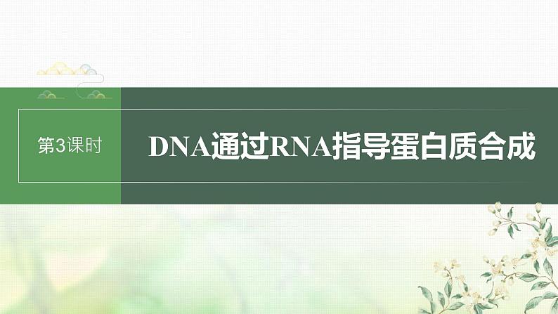 苏教版2024届高考生物一轮复习DNA通过RNA指导蛋白质合成课件第1页