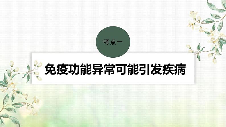 苏教版2024届高考生物一轮复习人体免疫功能异常课件第4页