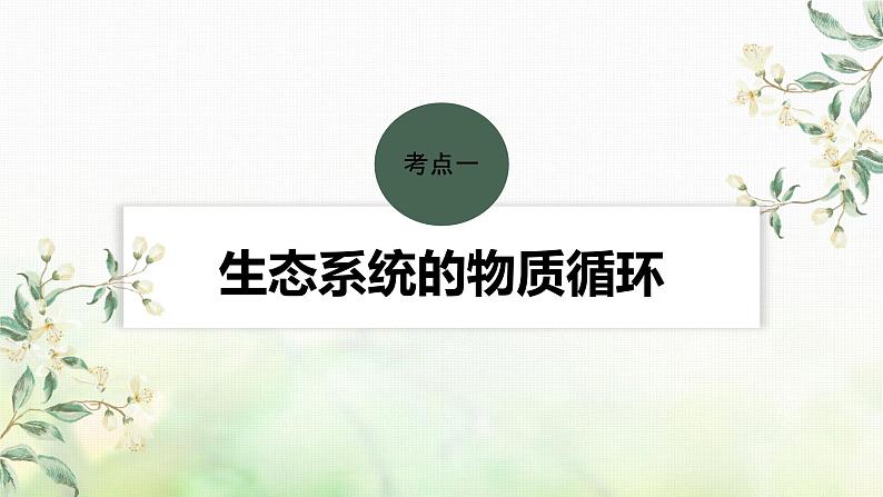 苏教版2024届高考生物一轮复习生态系统的物质循环和信息传递课件第4页