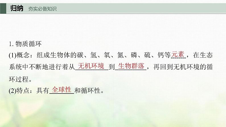 苏教版2024届高考生物一轮复习生态系统的物质循环和信息传递课件第5页